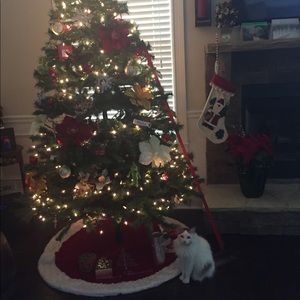 Meet your Posher, Sheri